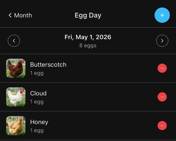 Backyarder egg day screen showing which chickens laid