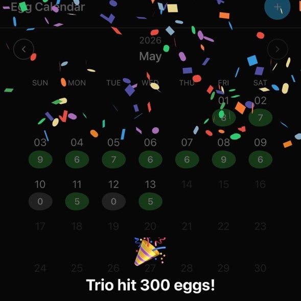 Backyarder celebration screen for a flock milestone